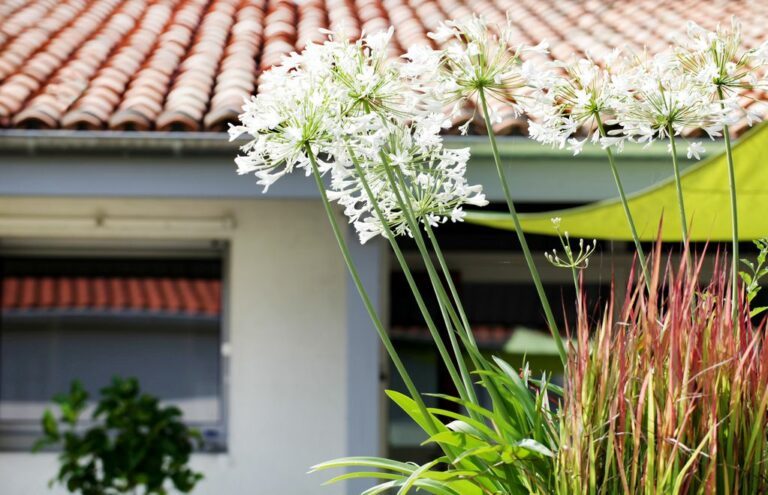 03_Jardin paysager