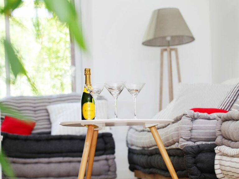 LZ_villa-charente-maritime-salon