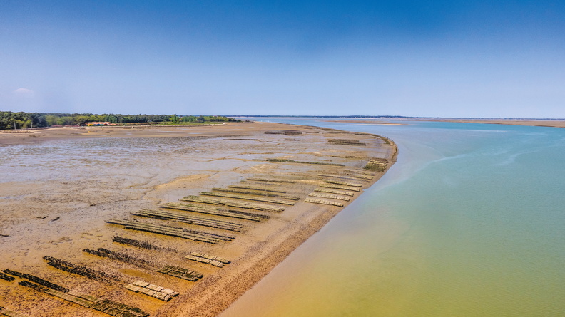 Plage de Ronce les Bains à marée basse sur le littoral charentais