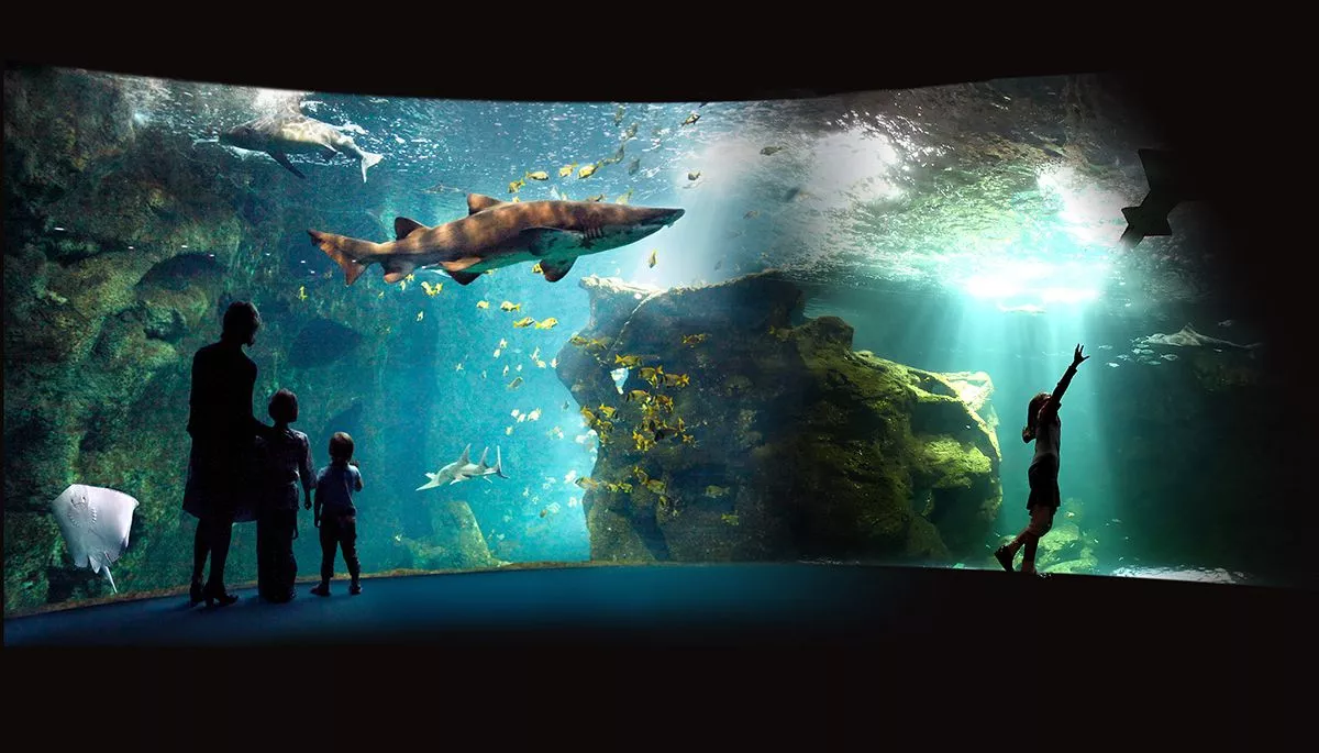 Grand bassin et animaux marins de l’Aquarium La Rochelle